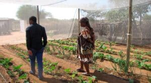 Strategies of Smallholder Farmers of Botswana