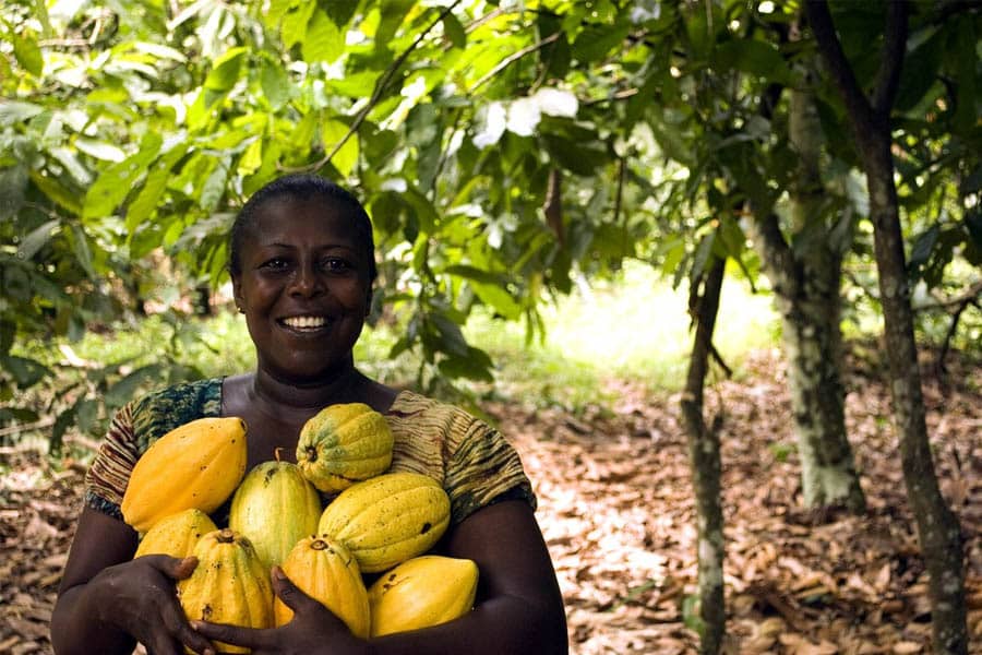 Creating Crop insurance market and protecting smallholder farmers in DRC