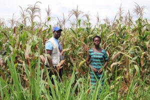 Farmers credit access in the Democratic Republic of Congo
