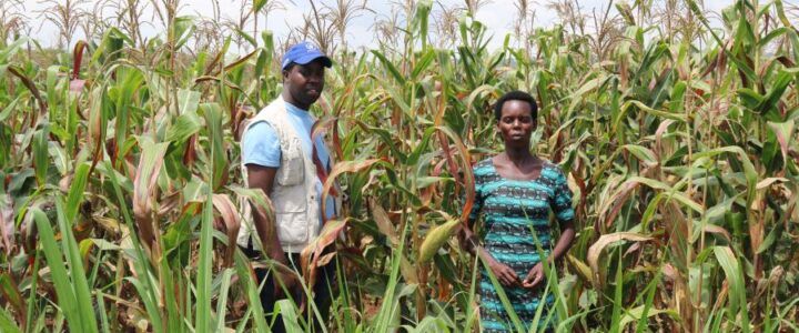 Farmers credit access in the Democratic Republic of Congo