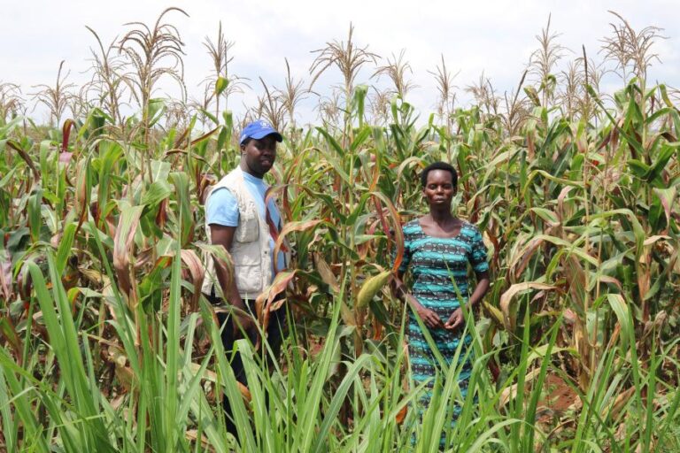 Farmer’s credit access in the Democratic Republic of Congo | Tractors PK