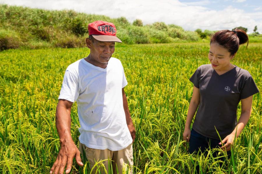 Low-Cost-Technologies-for-Improving-Farming-Techniques-in-DRC